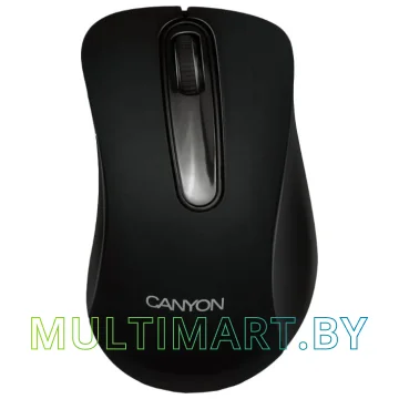 Мышь Canyon MW2 (CNE-CMSW2)